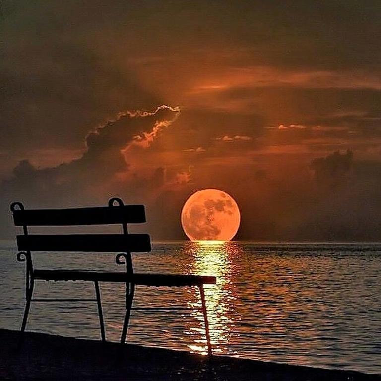Moon Light Guest House Tissamaharama Kültér fotó